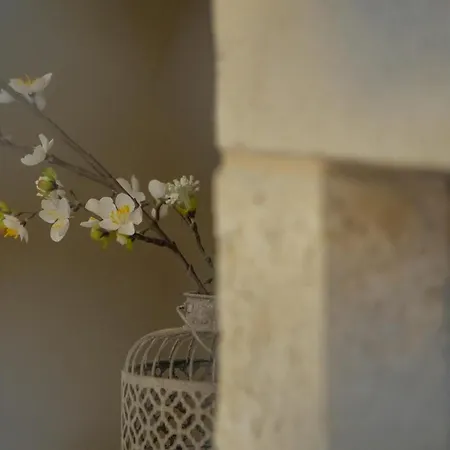 Trochalo 2 * Stoúpa