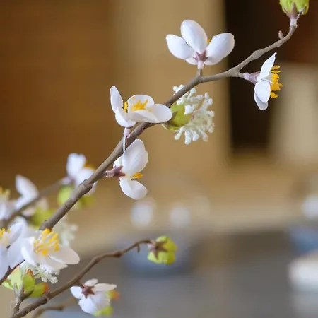 Trochalo 2 * Stoúpa