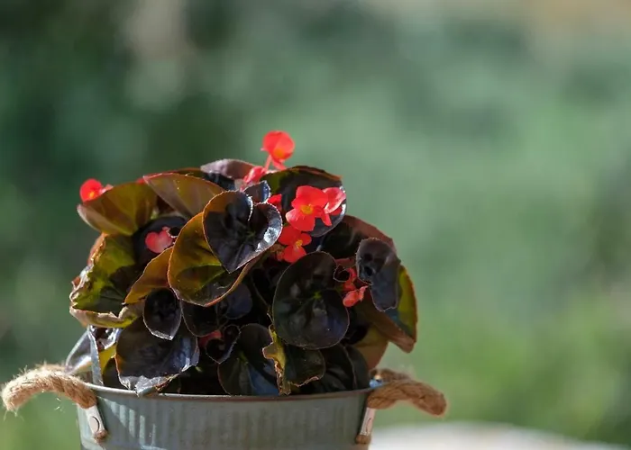 Trochalo 2 Villa Stoúpa