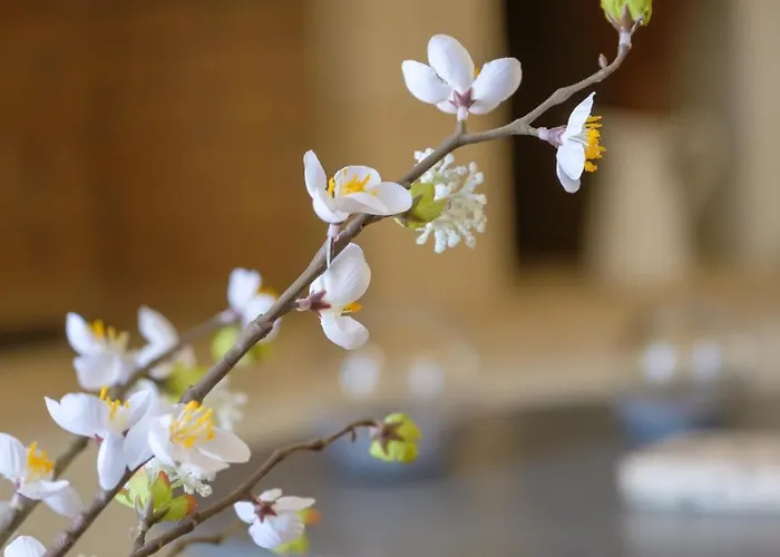 Trochalo 2 * Stoúpa